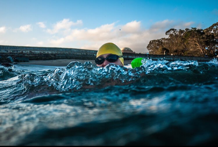 This weekend’s #SFBay #CrissyField #openwaterswim (‘swell’ photo via @coopanimate 😀)