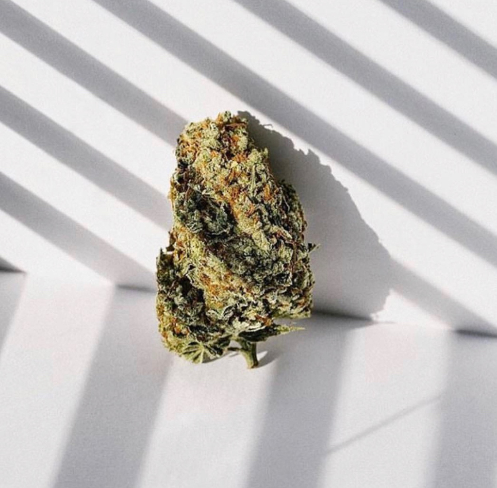 budexpressnow's tweet photo. You've heard a lot about the benefits of CBD. But, how much do you know about making CBD snacks?😋
Click https://t.co/poqaD8tVLY for full details!🤩🤩💚💚🌿🌿
#BudExpressNow #granolabar #recipe #medicalbud #plantmedicine https://t.co/RVVuFVgWLV