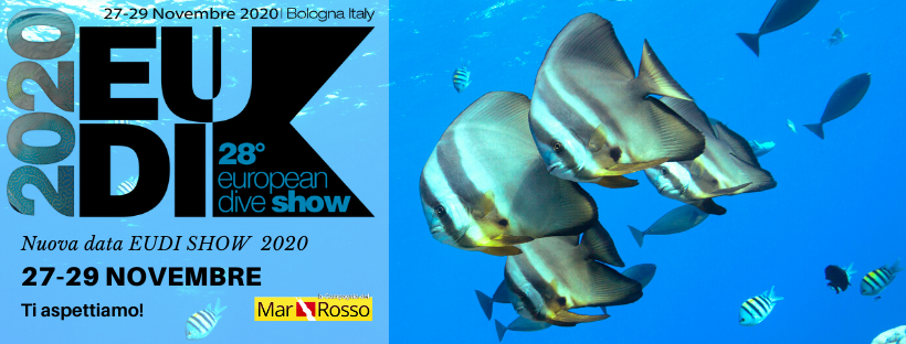 CompMarRosso's tweet photo. NUOVA DATA EUDI SHOW 2020 🦈
#EUDIShow2020, in programma a Bologna dal 29 febbraio al 01 marzo, è stata rinviata al 27 - 29 novembre.
Ti aspettiamo!

PER MAGGIORI INFORMAZIONI
https://t.co/MIdDtUKadW https://t.co/7JBrFRpfXx