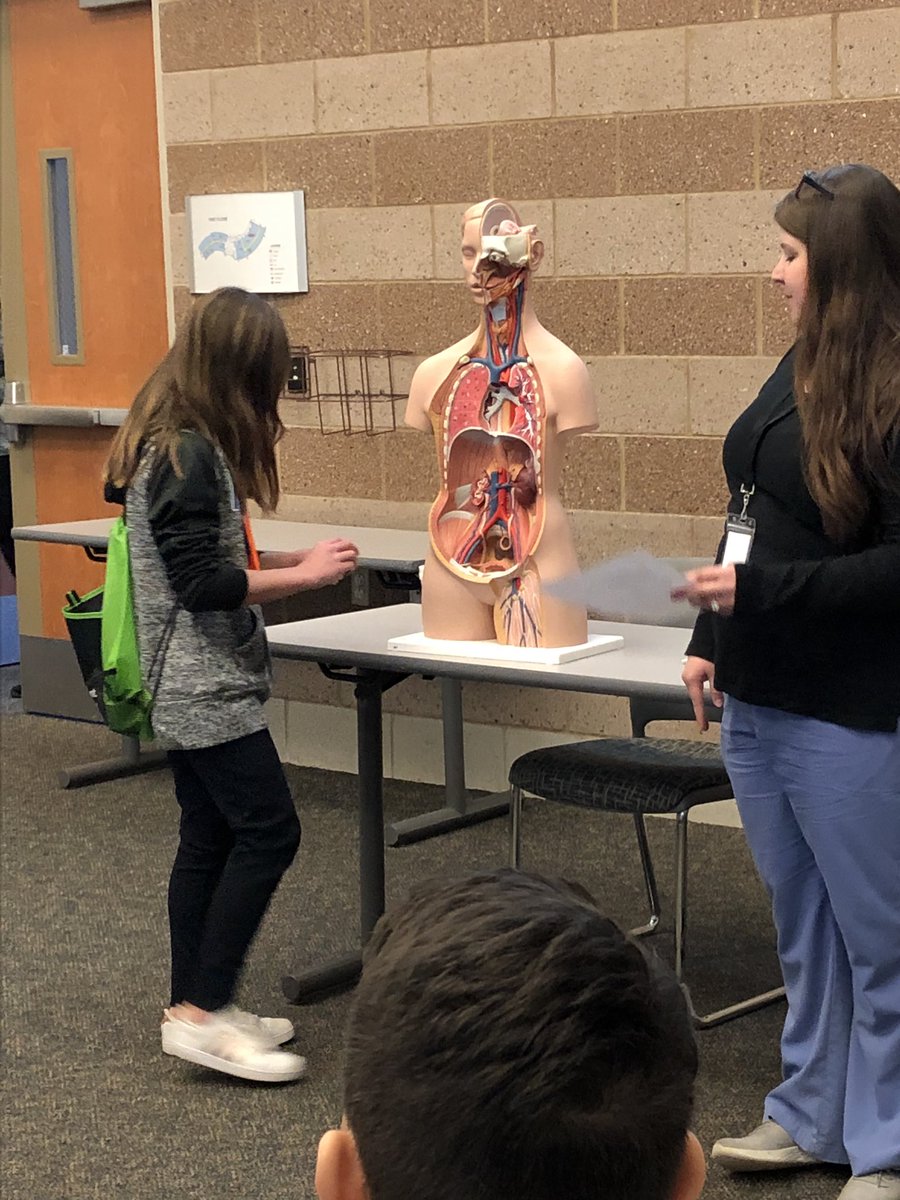 ReadySlcs's tweet image. Many MMS andCMS students got to participate in the Careers in Healthcare event at Oakland schools today! Nursing, radiology, infection control, and nutrition were some of the exciting careers explored!