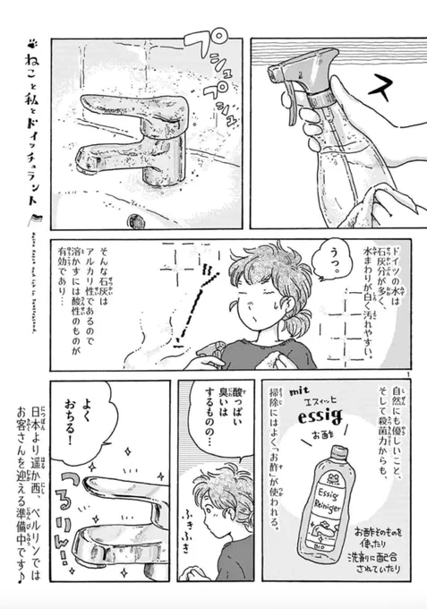 #ねこと私とドイッチュラント がサンデーうぇぶりにて更新されました。今回はお掃除から始まります。
https://t.co/pY4nx2sRwr
お時間あるときに楽しんでもらえれば幸いです?

なかなか落ち着かない日々ですが、みなさまなるべくゆっくり休んで、あたたかくしてお過ごしくださいね。 