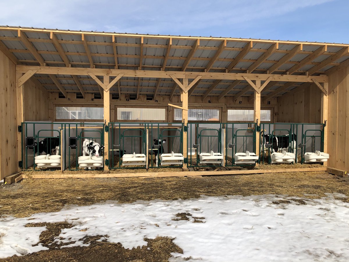 Marie McNabb tweet media