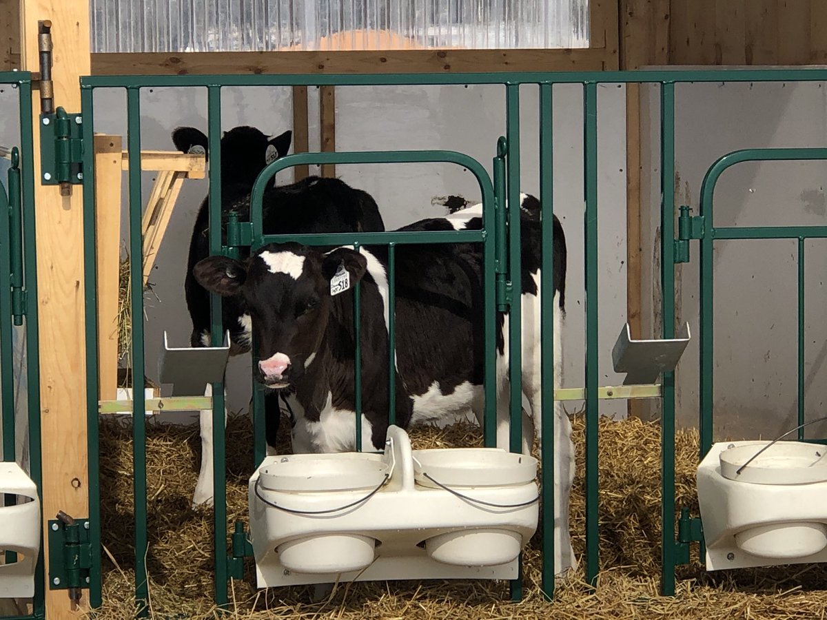 Marie McNabb tweet media