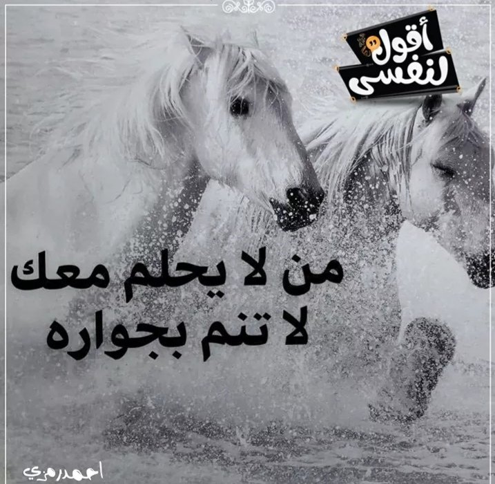HamdySyf's tweet photo. https://t.co/4UGF1zILuj