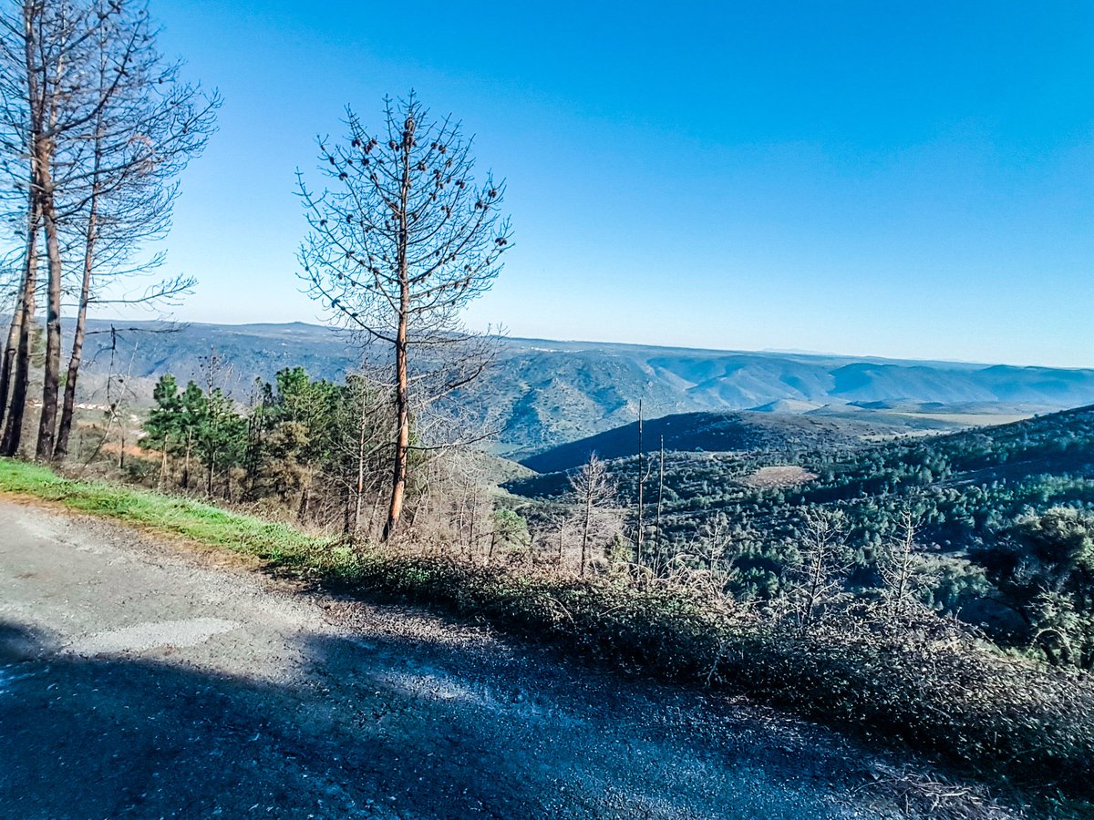 esoueu27's tweet photo. I wanted to take photo with ky camera. Then I though it was in my backpack I don't feel like grabbing that from there. When I was down in the village I realised it was... in my pocket 🤔
#backpacking #wanderthon #CaminoPortugues https://t.co/9b1QzGMEzG