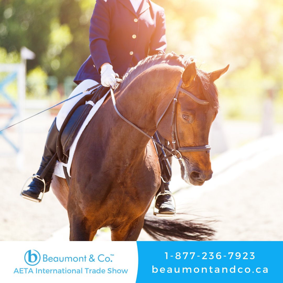 The AETA International Trade Show 2020 is taking place on June 17th-18th, at the Greater Philadelphia Expo Center, Oaks, Philadelphia, USA. Contact us for your trade show displays needs! #experientialmarketing #tradeshowbooth #exhibitrentals #eventmarketing #tradeshowdisplays