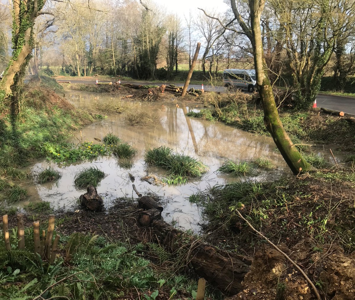 mwhgpage's tweet photo. Last week, a #FLOW excavation project on #Apuldram Ln began. Tree surgeons and diggers reinstated a forgotten, relic pond, where we will add wetland plants, trees and wildflowers, without overshading the renewed pond.

Thanks go to @balfourbeatty for donating traffic management. https://t.co/nb46O5NsdF