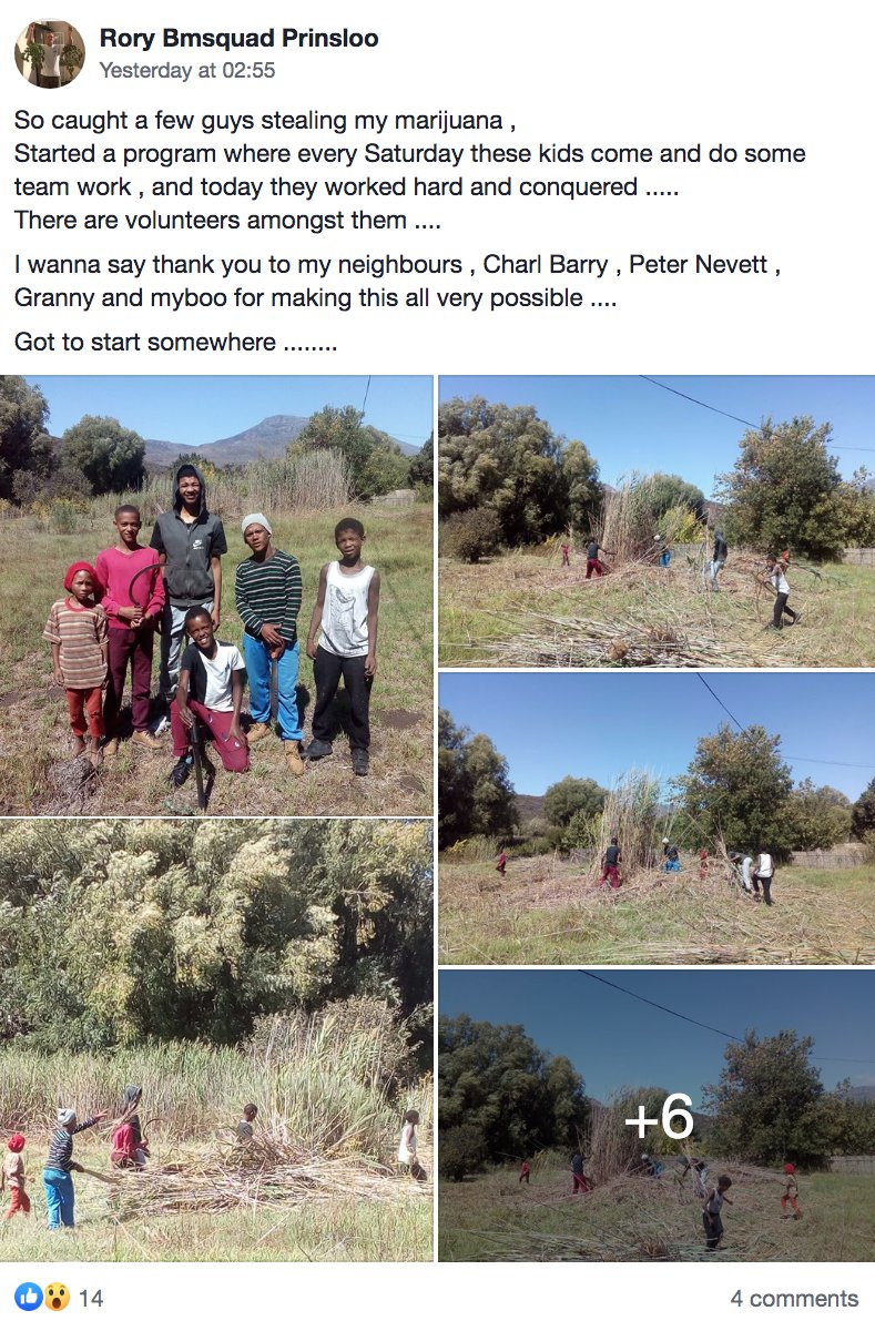 It's good to see times are changing in #SouthAfrica. Bored kids get up to mischief because they have nothing else to do get afforded a means to contribute to their community and get rewarded with cooldrink and sweets in return. It also instills a sense of pride. #dagga