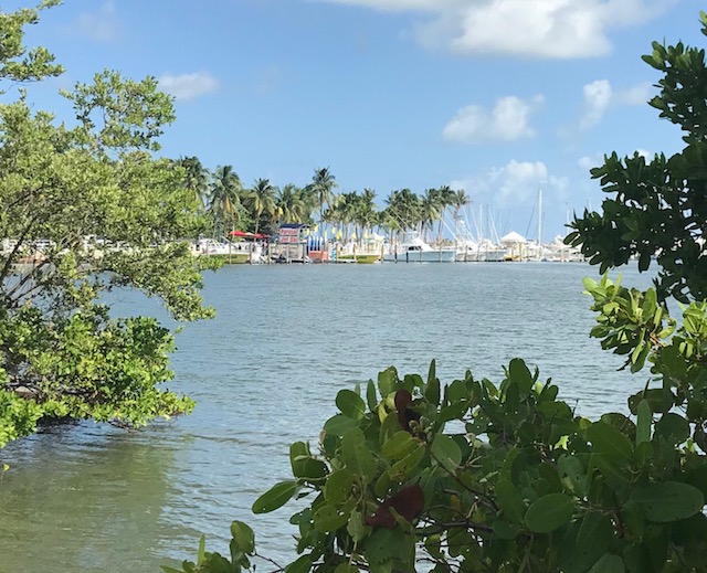 mutinyhotel's tweet photo. You’ll love #Mondays when you enjoy a stroll around #TheMutiny and time spent soaking in the #Miami sun. https://t.co/bdWDz3j29R https://t.co/3RV9rVMc9R
