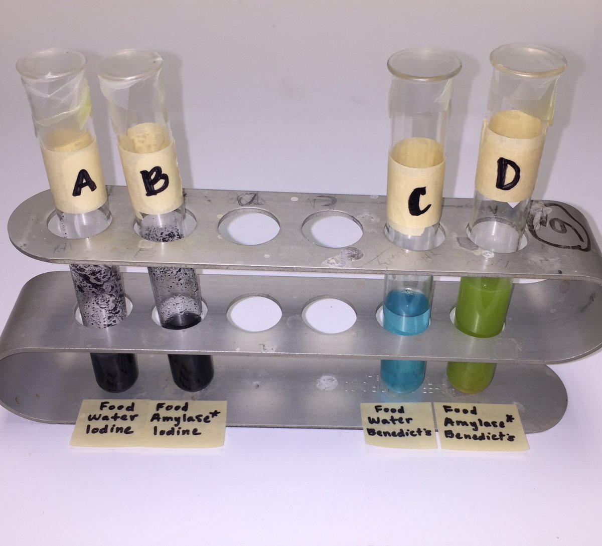Check out the results from our investigation about chemical reactions in the mouth! Looks like starch and glucose molecules are present. Rice does not contain sugar, where did the glucose come from? #middleschool #science #106learns
