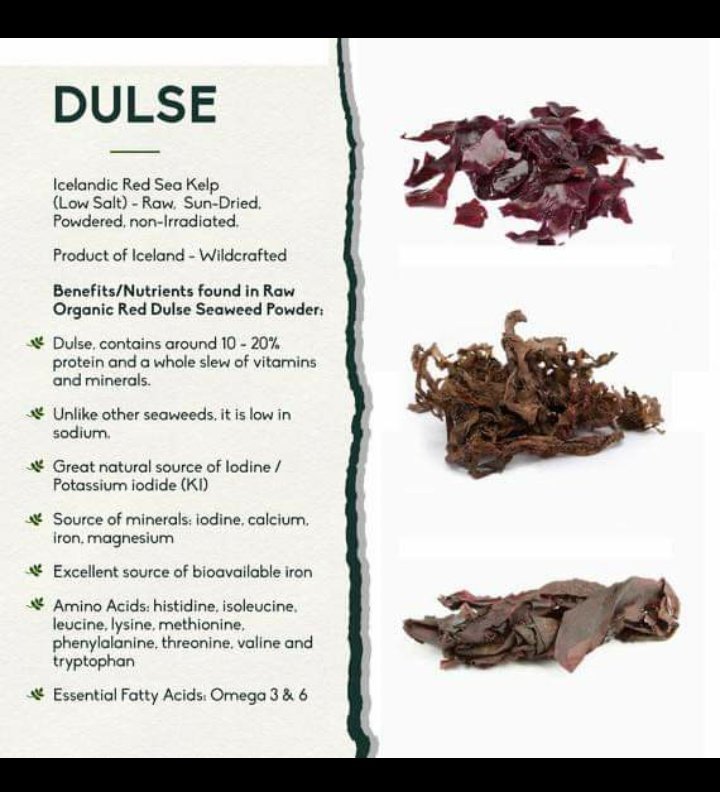 DivineHealn's tweet photo. How many of you use Dulse flakes? Or cook with Dulse powder? ๐๐๐
#DulseFlakes #seaKelp #potassium #iodine #iodinesupplement https://t.co/BNpApxdOY6