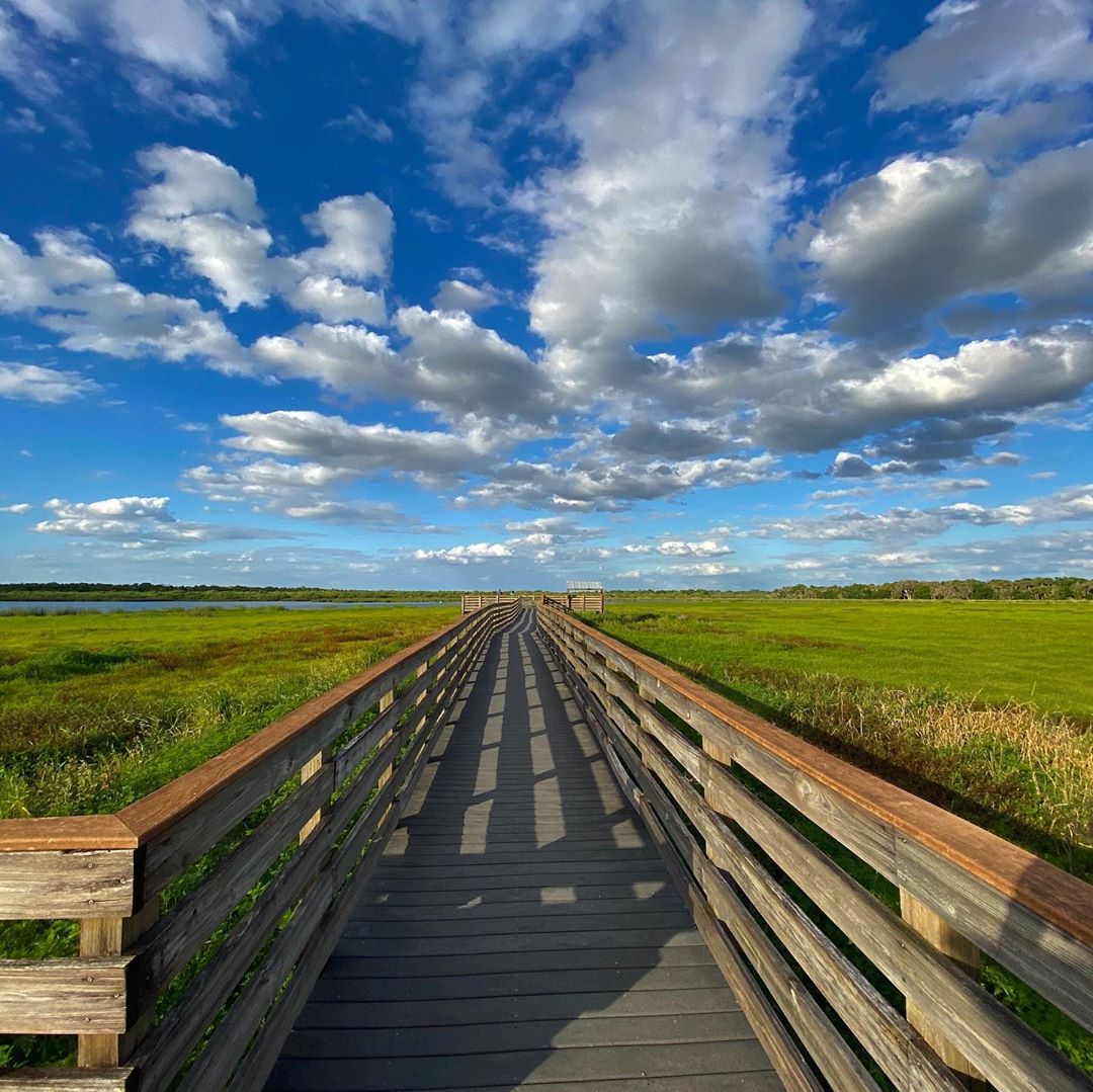 VisitSarasota's tweet photo. Choose your own adventure ππ΄β±οΈ #MySarasota #LoveFL #WinterinFL
π: #MyakkaRiverStatePark (IG accebergordo)
π: #LidoBeach (IG turquoiseandbluewater) https://t.co/1u2MEOedji