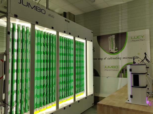 synoxisalgae's tweet photo. After two days of growth, JUMBO is getting greener and greener. Looking good right? 
#bioprocess #microalgae #spirulina #biotechnology #science https://t.co/KTlWNbLZ2R