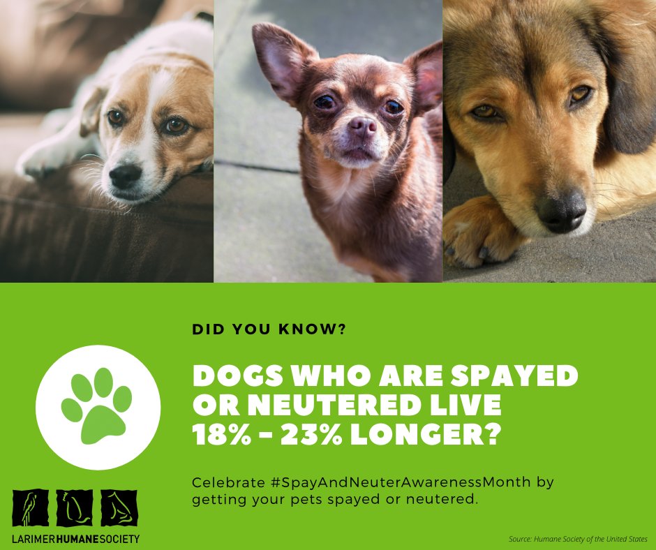 Uzivatel Larimer Humane Society Na Twitteru According To Humanesociety Neutered Male Dogs Live 18 Longer Than Un Neutered Dogs And Spayed Female Dogs Live 23 Longer Than Unspayed Dogs Celebrate Spayandneuterawarenessmonth By Getting