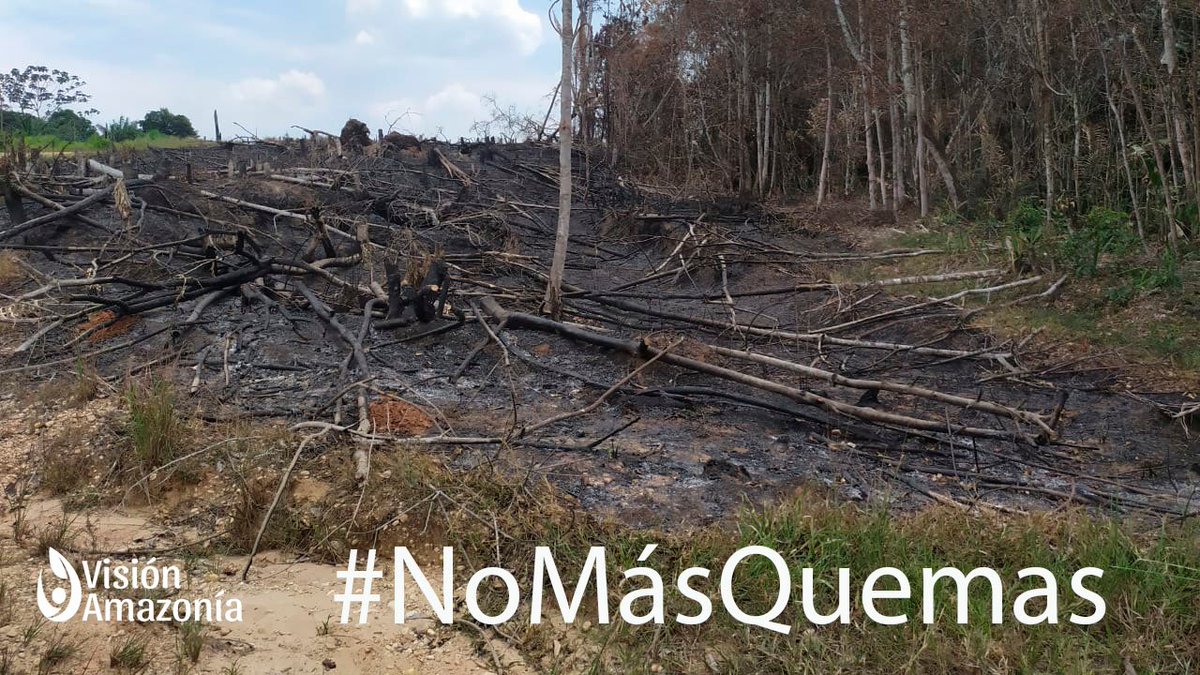 Rechazamos los incendios en La Macarena. Invitamos a todos los actores a resolver las diferencias mediante el dialogo. 

🌳🌳🌳La naturaleza nos necesita unidos defendiéndola.🌳🌳🌳