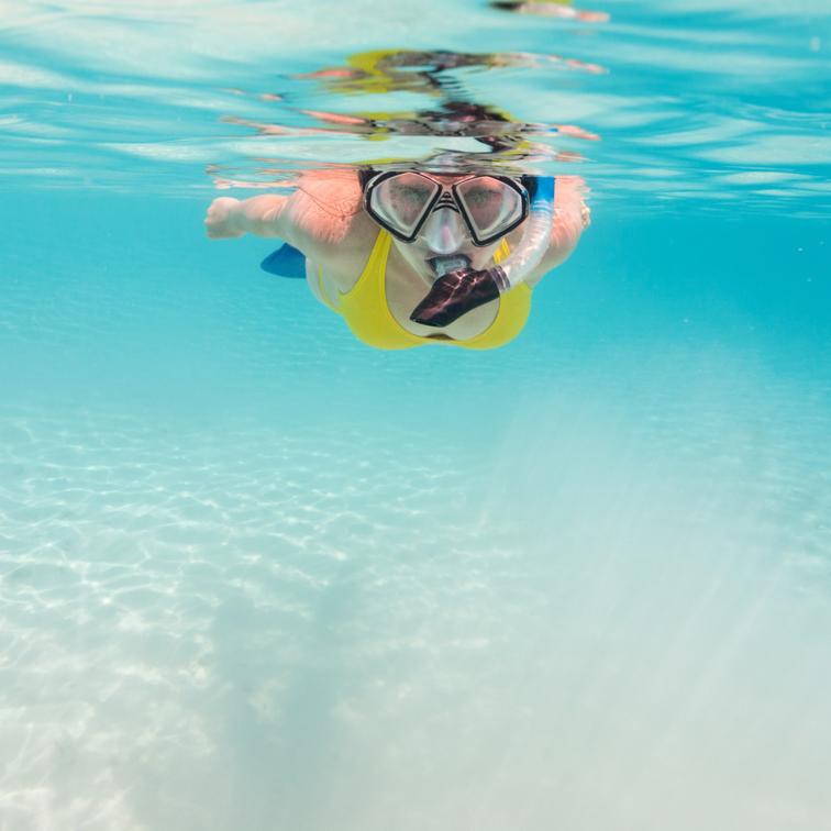 BlueMarlinCove1's tweet photo. One of the most relaxing and memorable things you can do during your visit is a snorkeling trip. Float lazily on the surface while nature parades below your eyes! #bahamas #snorkling  https://t.co/7ZifUliNMd https://t.co/oEOEZFWmoI