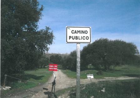 Alimañas tweet media
