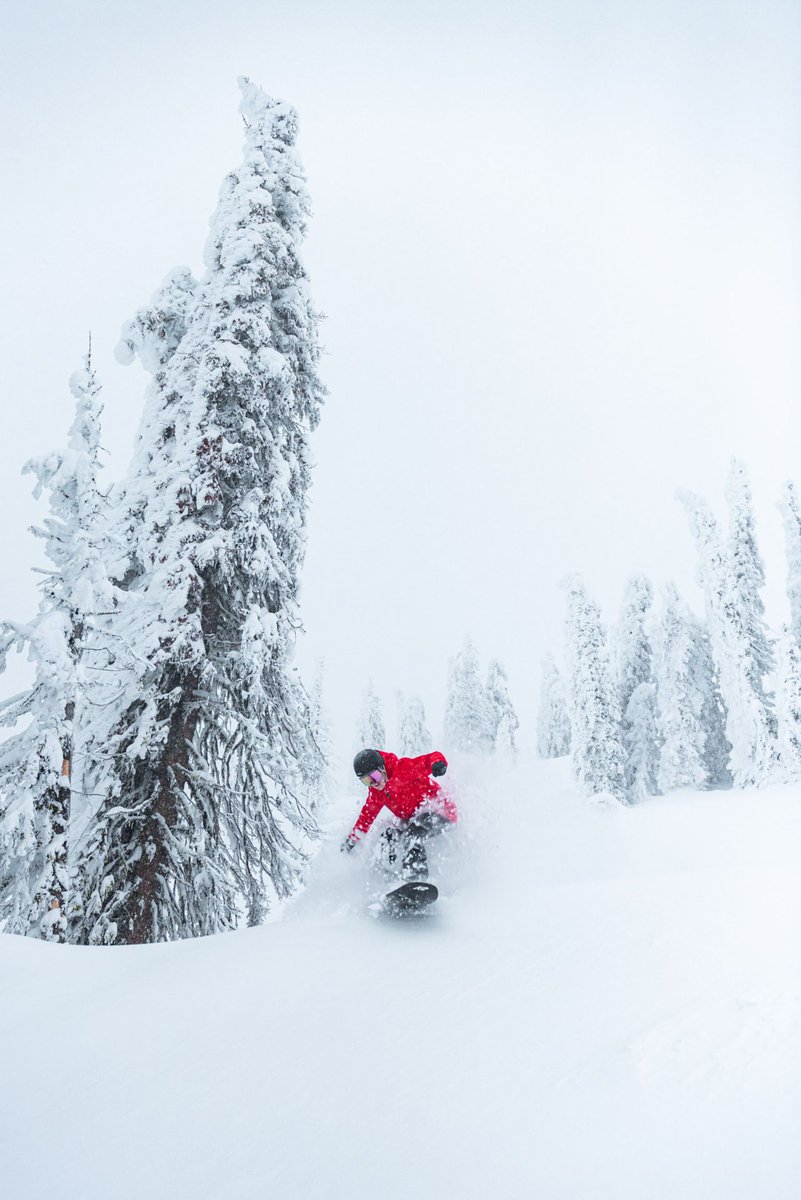 redresort's tweet photo. All smiles over here! 11cms over the last few days is just what we needed for a beautiful refresh! 😍😍 Come get out here! #AllFriendsOnAPowderDay #REDResort
📷: @ashvoykin https://t.co/gUUoYKZydM