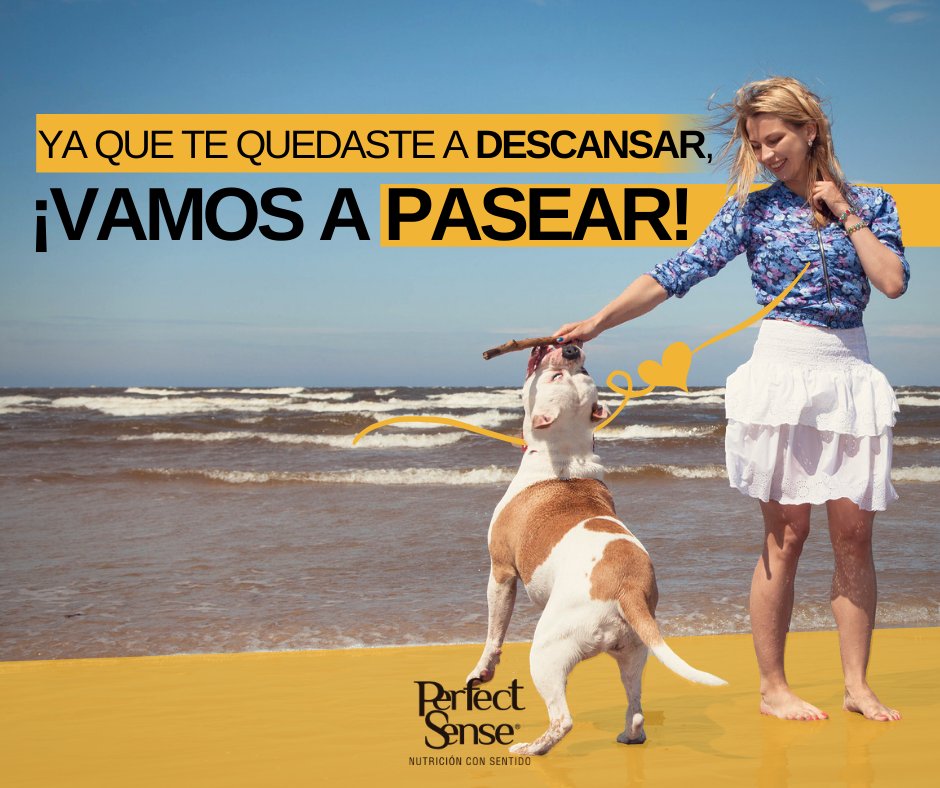 ¡Compartenos como paseas a tu amigo perruno!