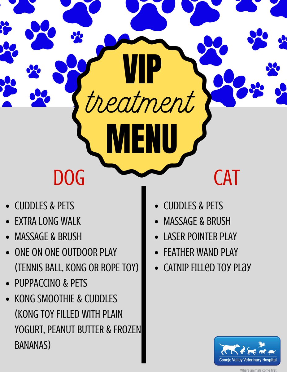 ConejoVet's tweet photo. VIP Treatment is a huge hit for our Dog Boarders! They are loving their Kong Smoothies and getting extra one on one attention with our staff! Call to set up VIP Time for your pet while they board. #VIPtime #kongsmoothie #dogboarding #petcare #happydog #petboarding #conejovet https://t.co/z936NaIrRn