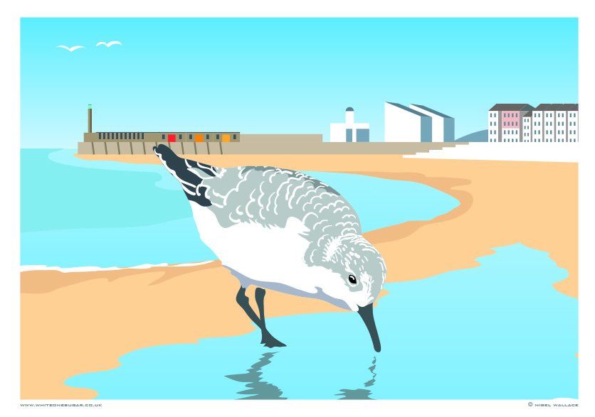 BirdWiseEK's tweet photo. The Turner Contemporary also provides a wonderful backdrop for our feathered friends. @White_One_Sugar https://t.co/6uf9j4VYxt