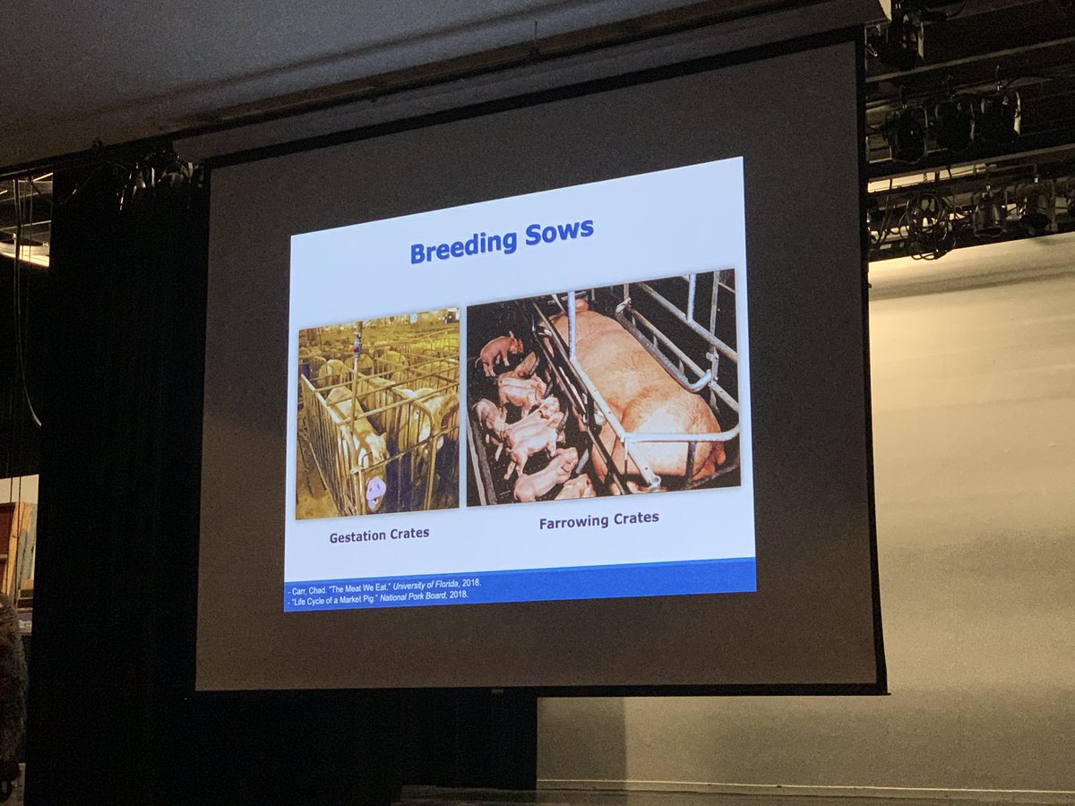 Lindsay Bucciarelli tweet media