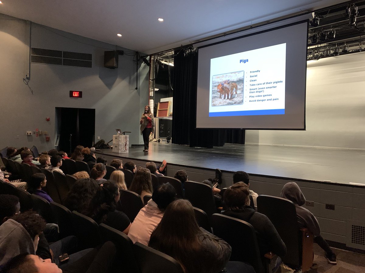 Lindsay Bucciarelli tweet media