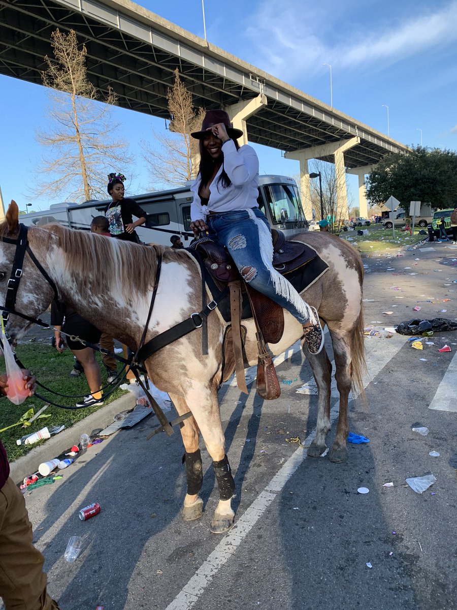 ____alexxxxxxxx's tweet photo. A stallion and her horse๐. #NOMTOC2020 https://t.co/MbSiMoX20R