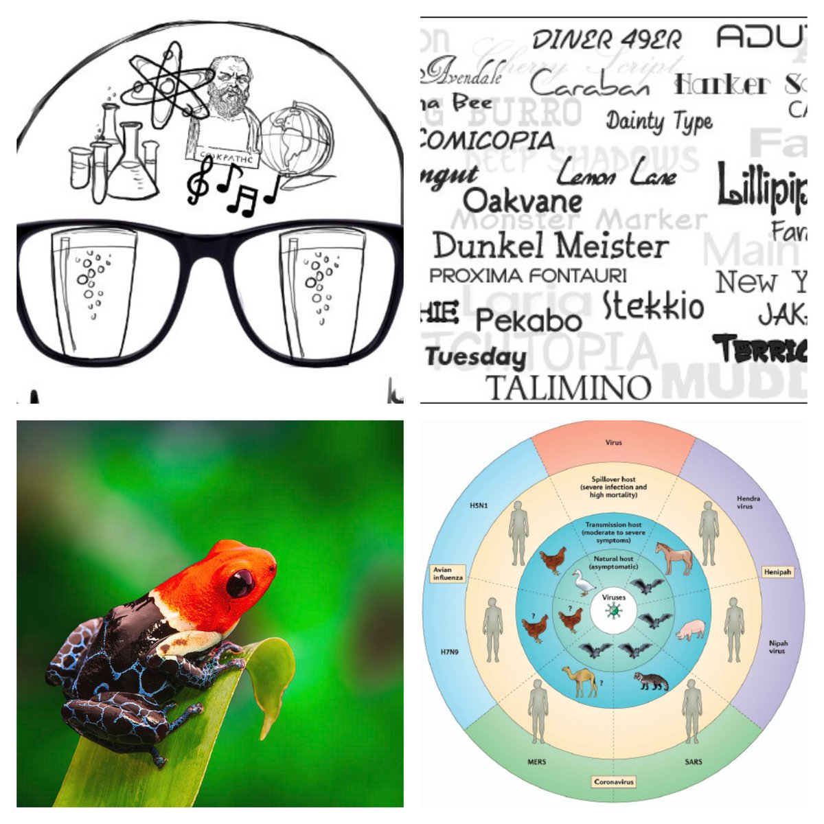 NerdNiteEB's tweet photo. TONIGHT Mon. Feb 24 an AWESOME Nerd Nite w @uptownnightclub Oakland!
Learning+Fonts w @connord_y
Animal Toxin Tricks w @frogsicles
Viruses Jumping to Humans w @SandiaLabs
$8 online til 3:30 $10 door
https://t.co/mlEBxb5MiF
RSVP https://t.co/ceeGeB3KPL
List https://t.co/FsNIBgT2dg https://t.co/gQ5HAVIhdc