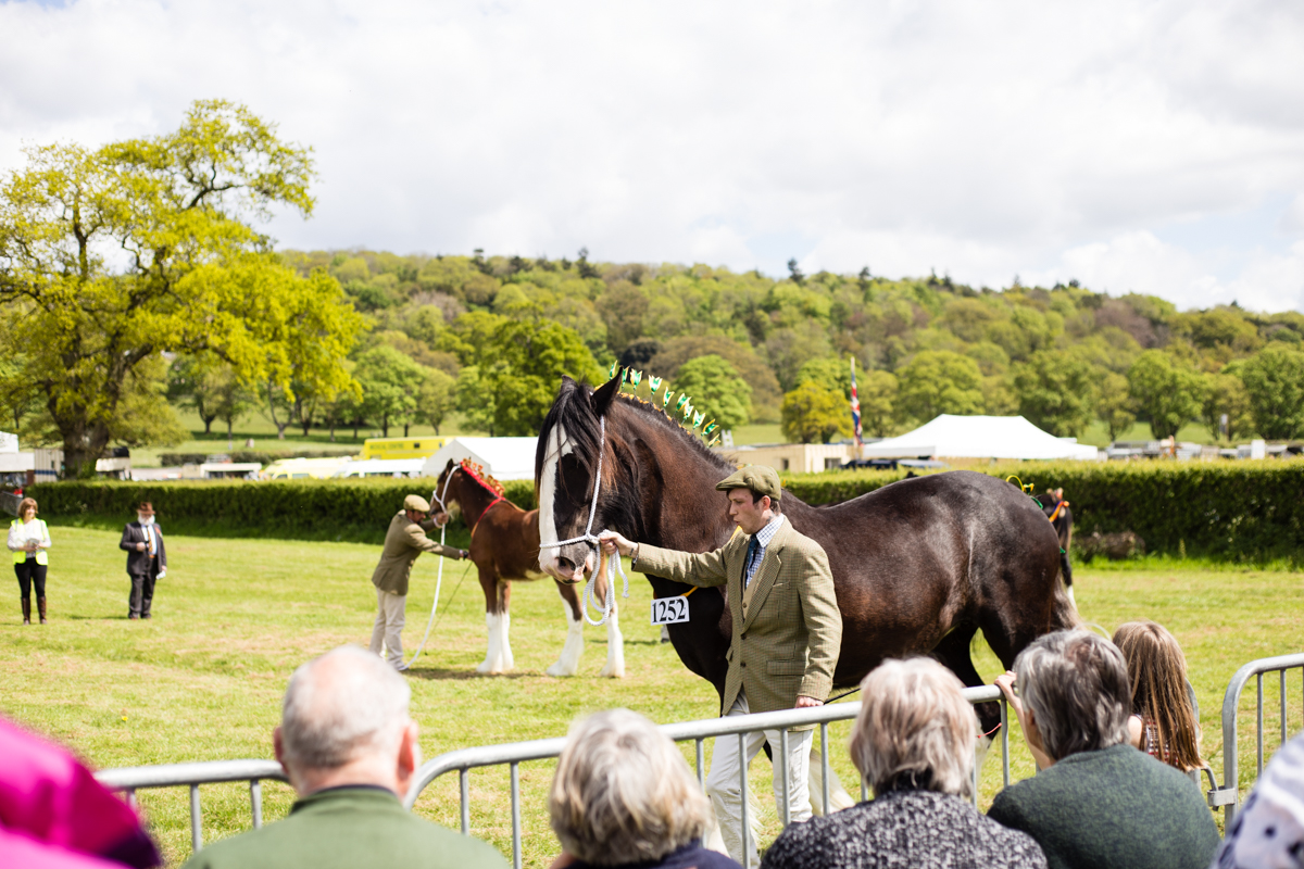 North Somerset Show on Twitter "The North Somerset Show is an