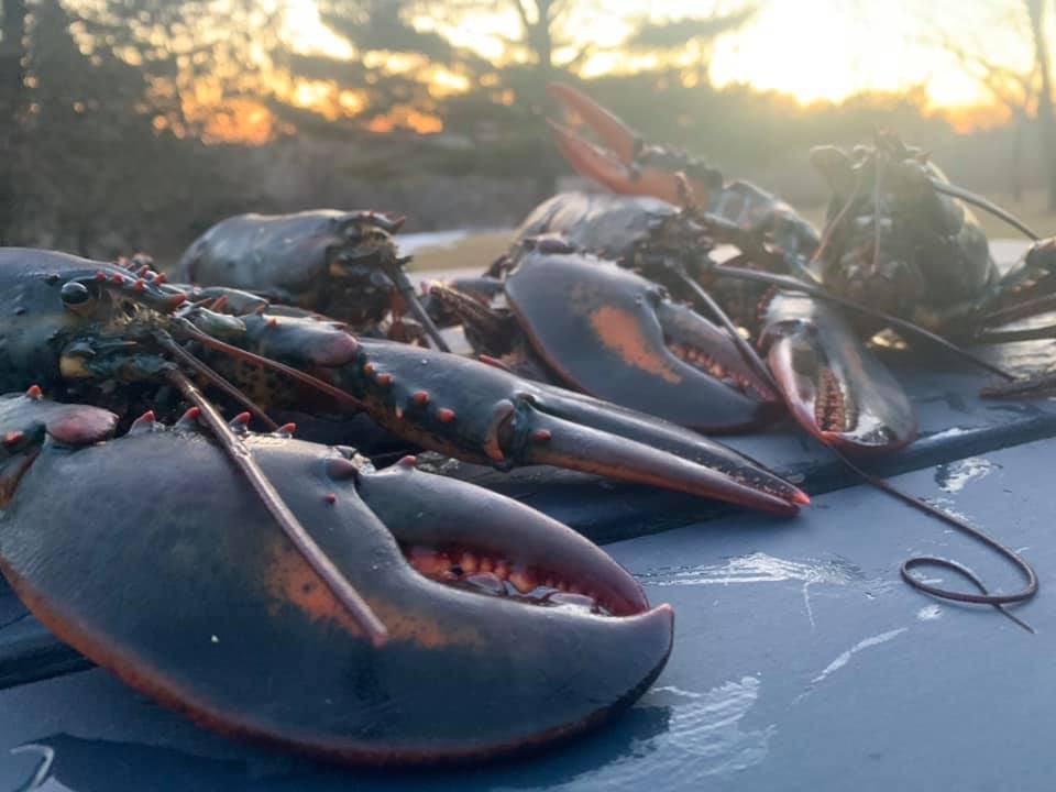 There's still time to enter to WIN 15lbs of fresh Nova Scotian Lobster! 🦞 Everyone to Crawl Aboard!! All restaurants, pubs, grills, resorts, hotels and diners are offering sumptuous lobster menus throughout February! 🦞 ENTER: surveymonkey.com/r/YXMGN96