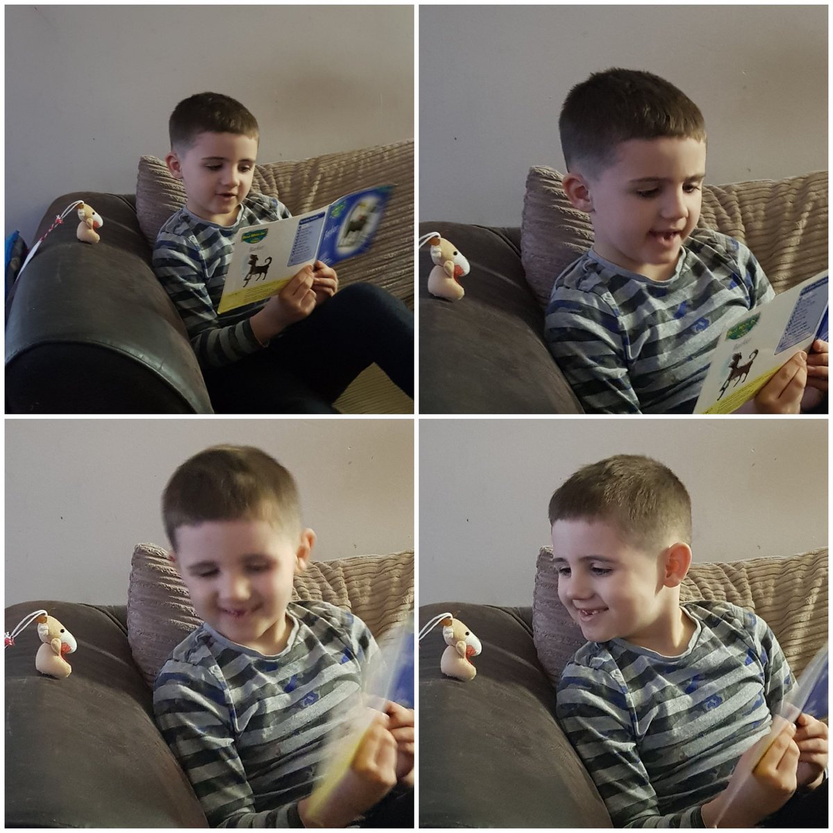 Suey1416's tweet image. Day 1 of Reading: Jaxon decided he would read one of his school books 'Barker' to his adopted reading pet x Jaxon says he's doing his challenge as well as 1 of his weekly reading sessions x hes undecided what the pets name is yet though x @carlos270286 @parishschool1 @Miss_Birds