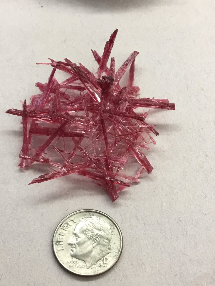 PepScienceSpot's tweet photo. “Biology could be considered applied chemistry.” Discussing organic vs. inorganic, our crystals took on all shapes and sizes. salt & sugar both form crystals - one is inorganic (mineral) one is organic (carbon compound) #Bermbuzz #Bermlearns #Chemistry #PepScienceSpot https://t.co/YV7Oh4DdNP