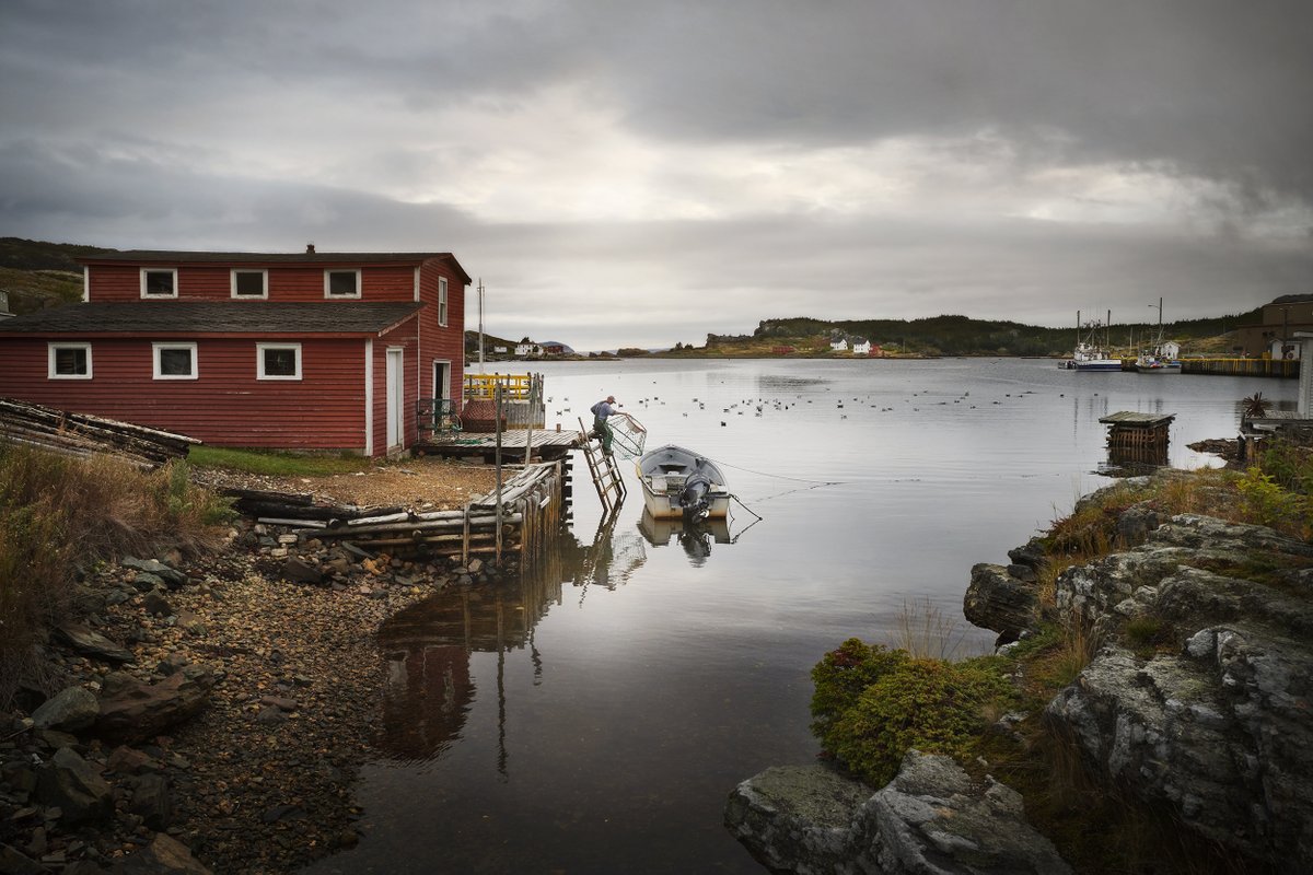 It’s so quiet you could hear a pin drop. But, why wake the neighbours? Salvage #ExploreNL #ExploreCanada