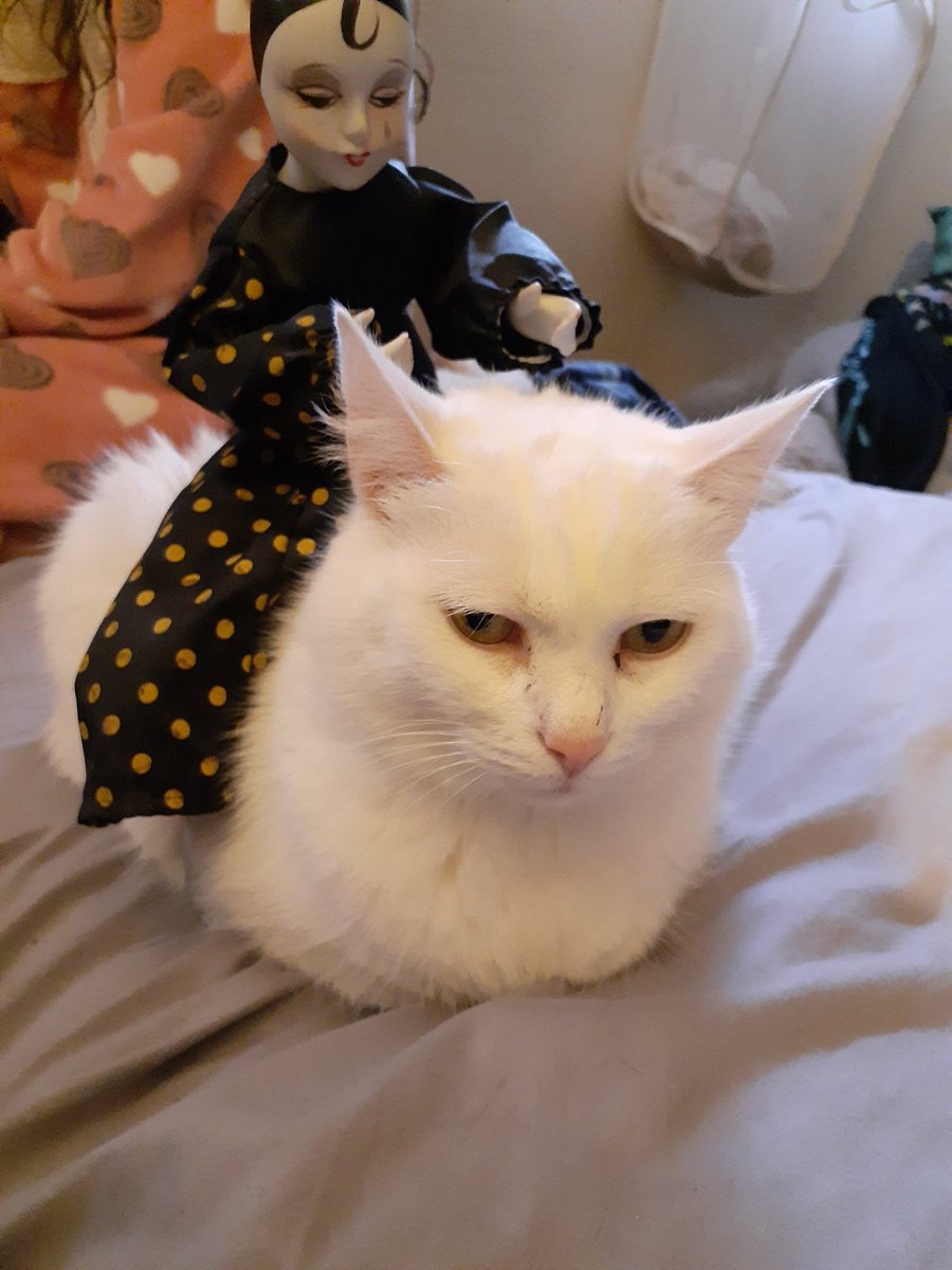 Dickcessive's tweet image. No context needed