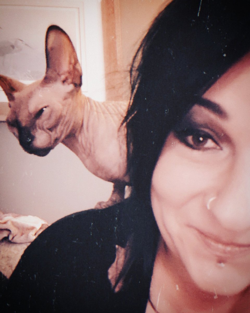 Haunted Hamilton tweet media