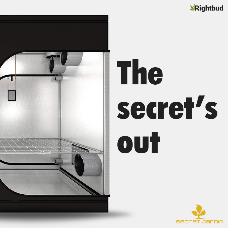 RightbudUSA's tweet photo. The secret’s out! We can’t keep these fully contained and extra sturdy grow tents to ourselves any more.
#growyourown #hydroponics #growtips #greenisgood #indoorgardening #green #growing #led #greenhouse #grow #indoorgarden #theresnothingbetter #secretjardin #rightbud https://t.co/wzIL0cf3I7