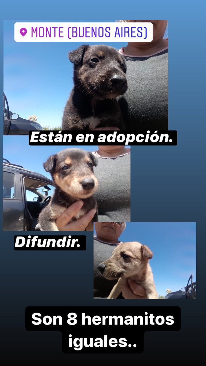 delfilevi's tweet photo. Difundan por favor https://t.co/3SCbDdWtUo