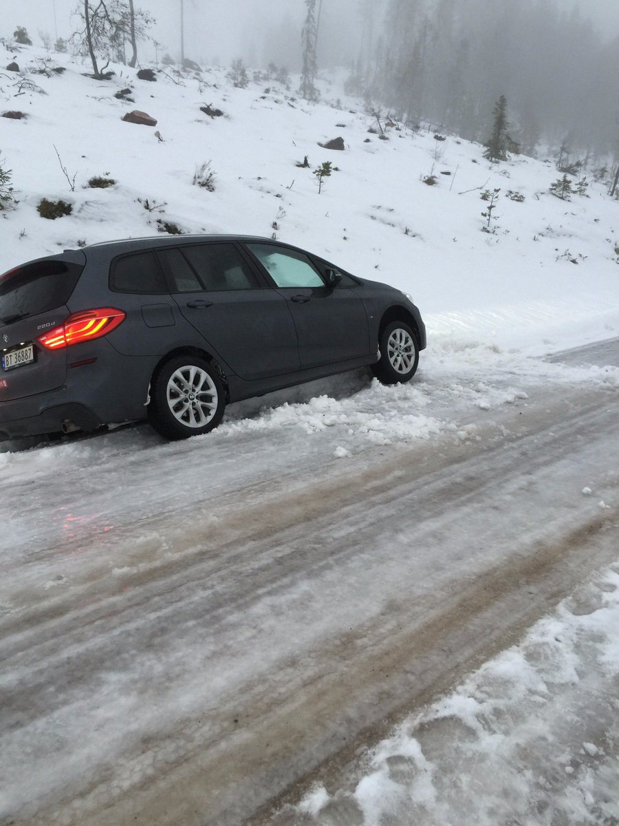 ScottAFerguson's tweet photo. @baylissrally @tsarsorg @justinbeadle Glad he’s not driving.......he hasn’t quite grasped the concept of “ditch-hooking”. https://t.co/rfCTrTWe0K