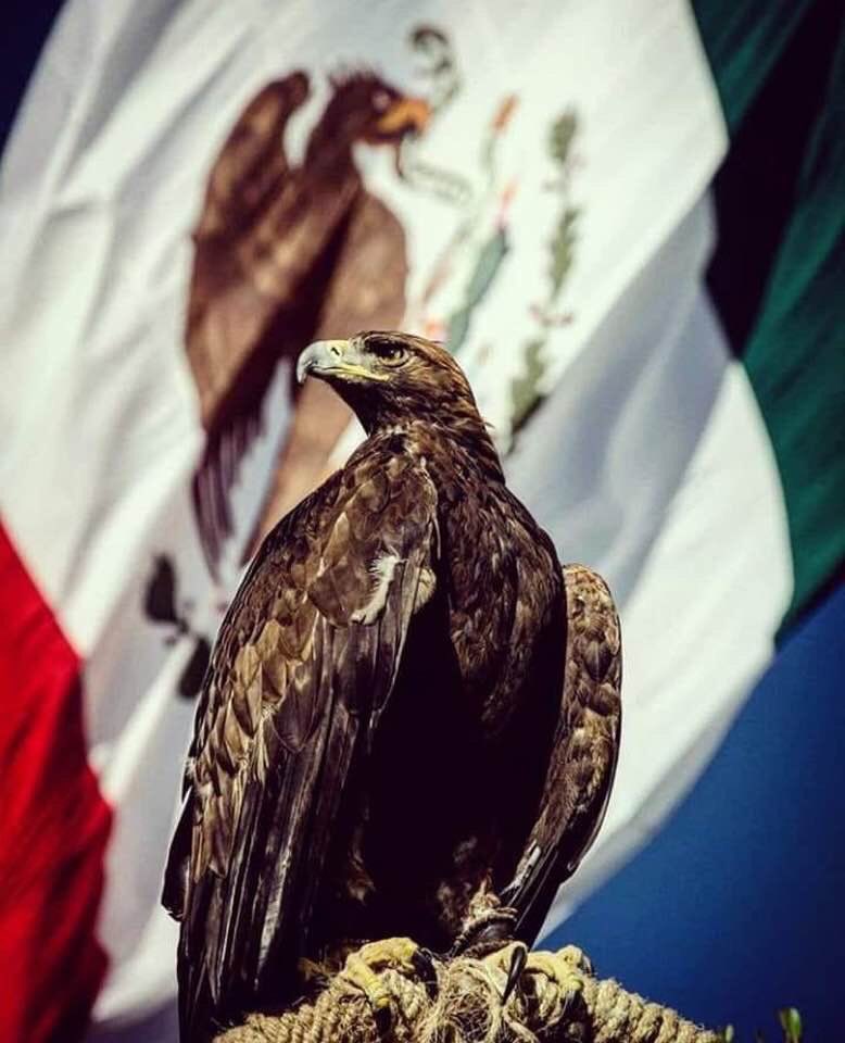 “Son los hechos los que dan vida y credibilidad al símbolo”.

RAM