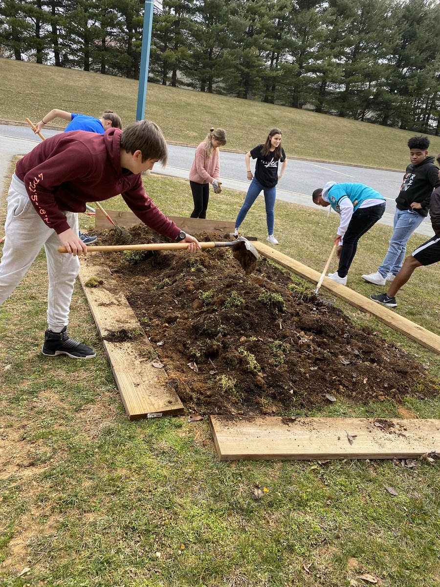 MrsGrenter's tweet image. We took advantage of the nice weather today to update our potato garden beds for #TheMartian Project. Thanks to our grant from the #LCSR, #8Blue students added metal brackets to make the beds more permanent. @GHMSBuckskins @CVSciTech #schoolgarden #PBL
