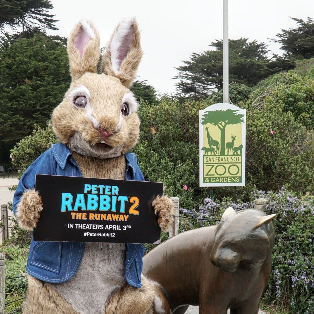 San Francisco Zoo ar Twitter: \