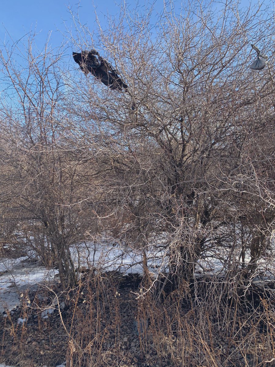 Leslie Middlebrook (@lmmiddlebrook) on Twitter photo T noticed the garbage in this tree. He was reminded of the story, “The Giving Tree”. He asked if I remember the story about the boy that didn’t treat the tree nicely and it didn’t live. #catchthemcaring <a href="/castleoaksps/">Castle Oaks PS</a> T noticed the garbage in this tree. He was reminded of the story, “The Giving Tree”. He asked if I remember the story about the boy that didn’t treat the tree nicely and it didn’t live. #catchthemcaring <a href="/castleoaksps/">Castle Oaks PS</a>