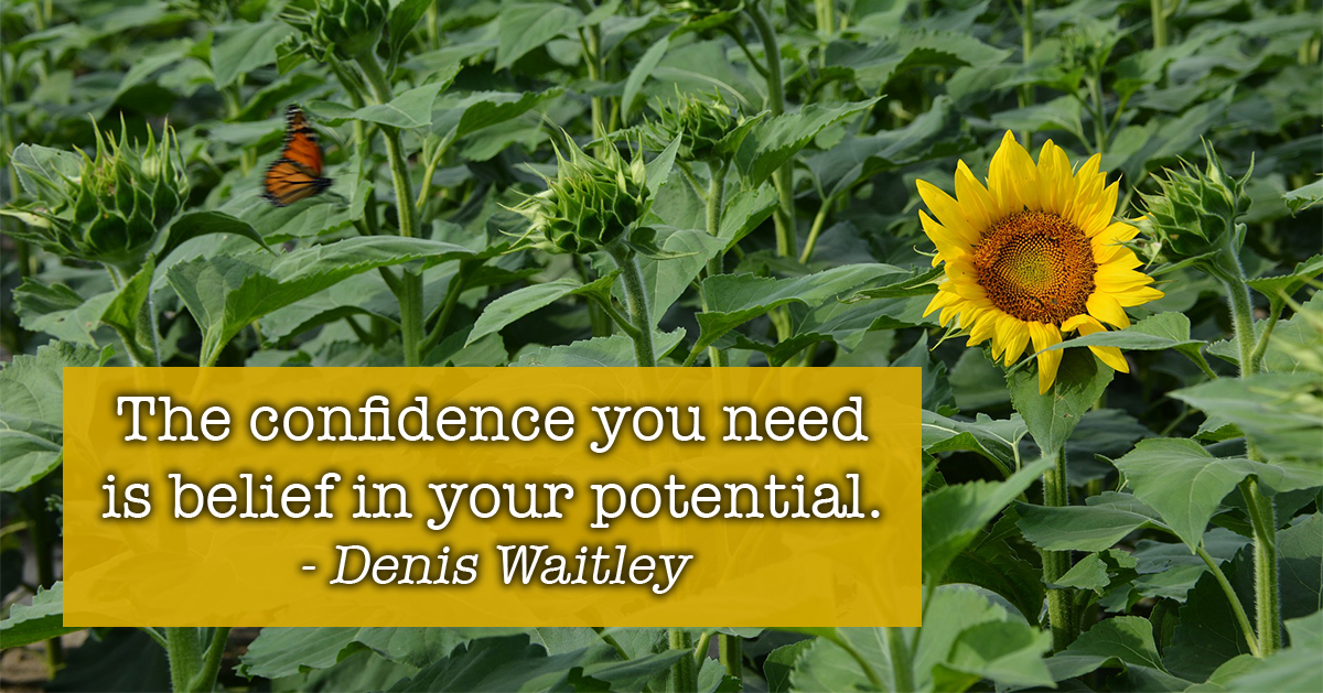 LiveZestfully's tweet photo. The confidence you need is belief in your potential. - Denis Waitley https://t.co/U2fSVNsUcG