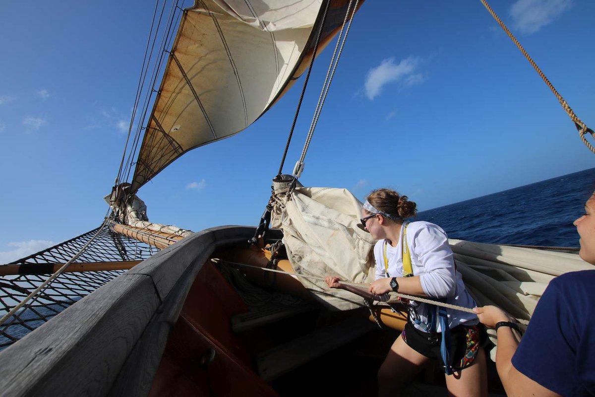 Vassar's tweet photo. Ahoy! Greta Nelson '21 is spending the semester sailing the Caribbean—studying the region's environment, culture, and history—with @SEA_Semester.
#VassarAbroad #SEASemester https://t.co/5jKXs5fGMK