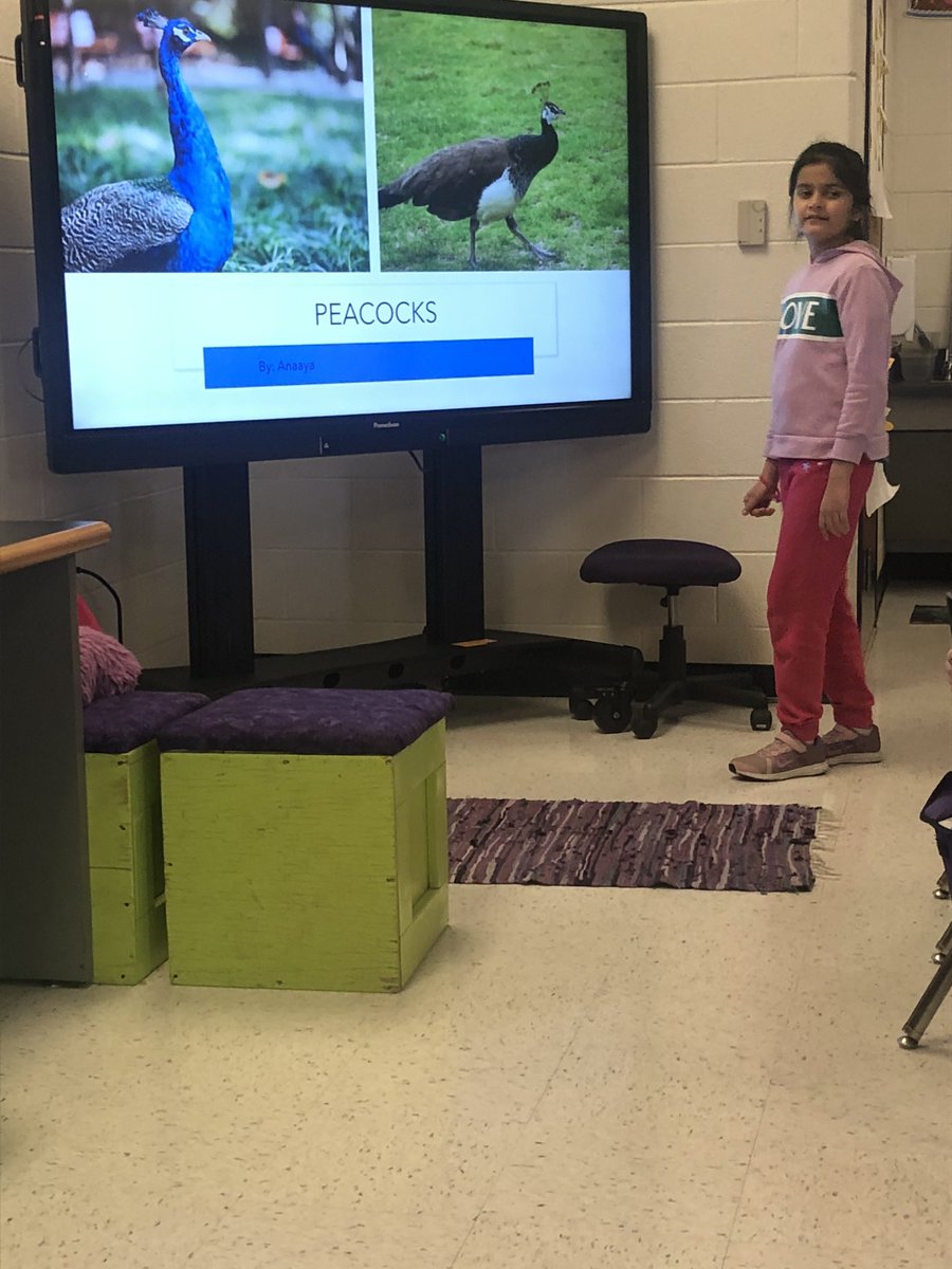 Stephanie Beth Shepard tweet media