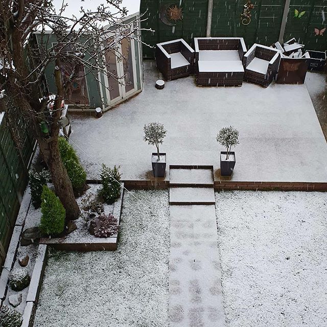 Flex Our Minds tweet media