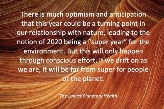 ph_alliance's tweet image. The PHA's first #newsletter of 2020 is live! 🎉

Click here ➡️ bit.ly/2SVvUAD to learn about the latest #planetaryhealth news, research, events, &amp;amp; opportunities in this new decade! 🌍 #superyear 

Subscribe here if you're not already! ➡️ bit.ly/2wE2Fta