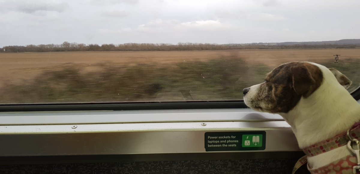 ShowMeJourneys's tweet photo. On an 'Underground' #train in the Bedfordshire countryside
Impressed by the upcycled @Vivarail train that used to be on the District Line
Smart interior &amp; quiet ride
Will return in summer for a cream tea at Ridgmont #station 🍰 😀
@marstonvalecrp @PhotosOfRailway @CommunityRail https://t.co/cjmnt8YQGB