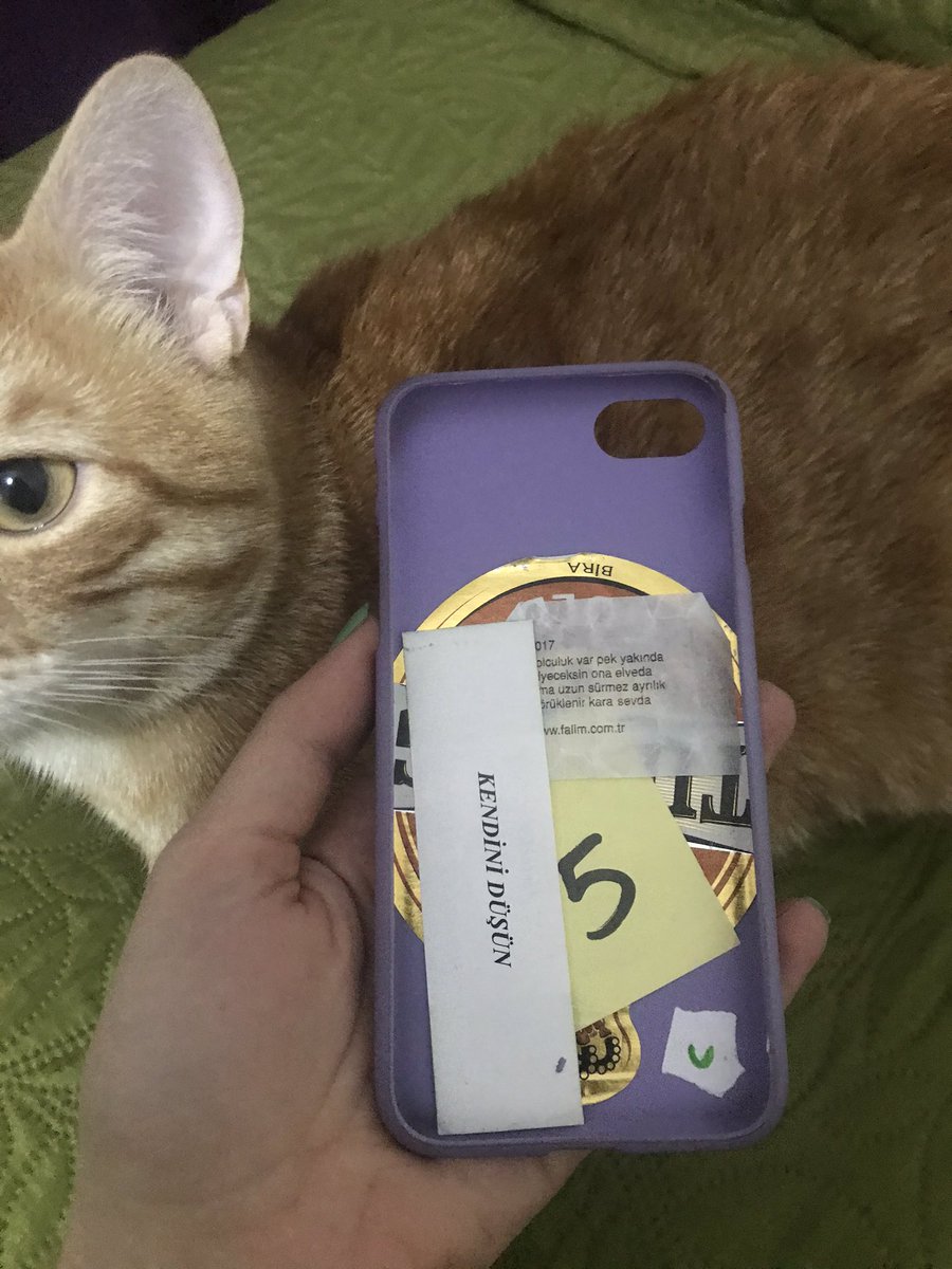 burcesk's tweet photo. Telefonun arkasına koyup unuttuğum şeyleri hatırladım.😅 https://t.co/EHJJnIWMMq